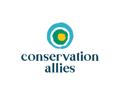 Conservation Allies logo / link to project preview popup - organic, concentric circles; yellow/gold center wrapped in green circle, then space and outer blue circle, with text to right